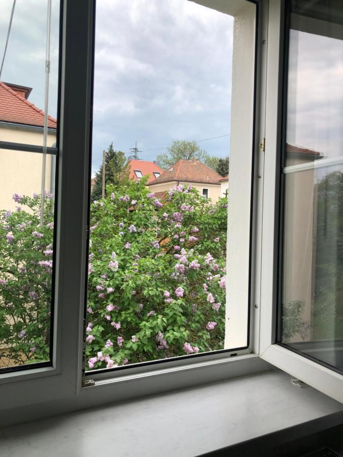 Wohlfuehloase Dresden Nickern Apartment Exterior foto